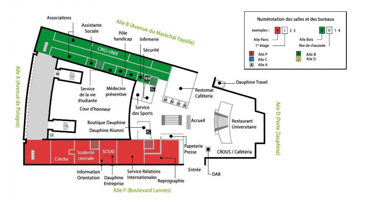 خريطة الجامعة دوفين - الطابق الأرضي